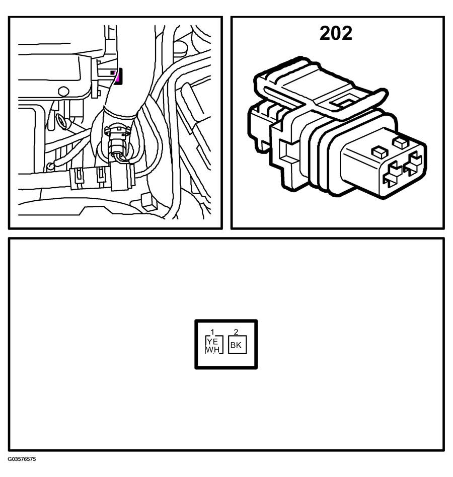 G03576575