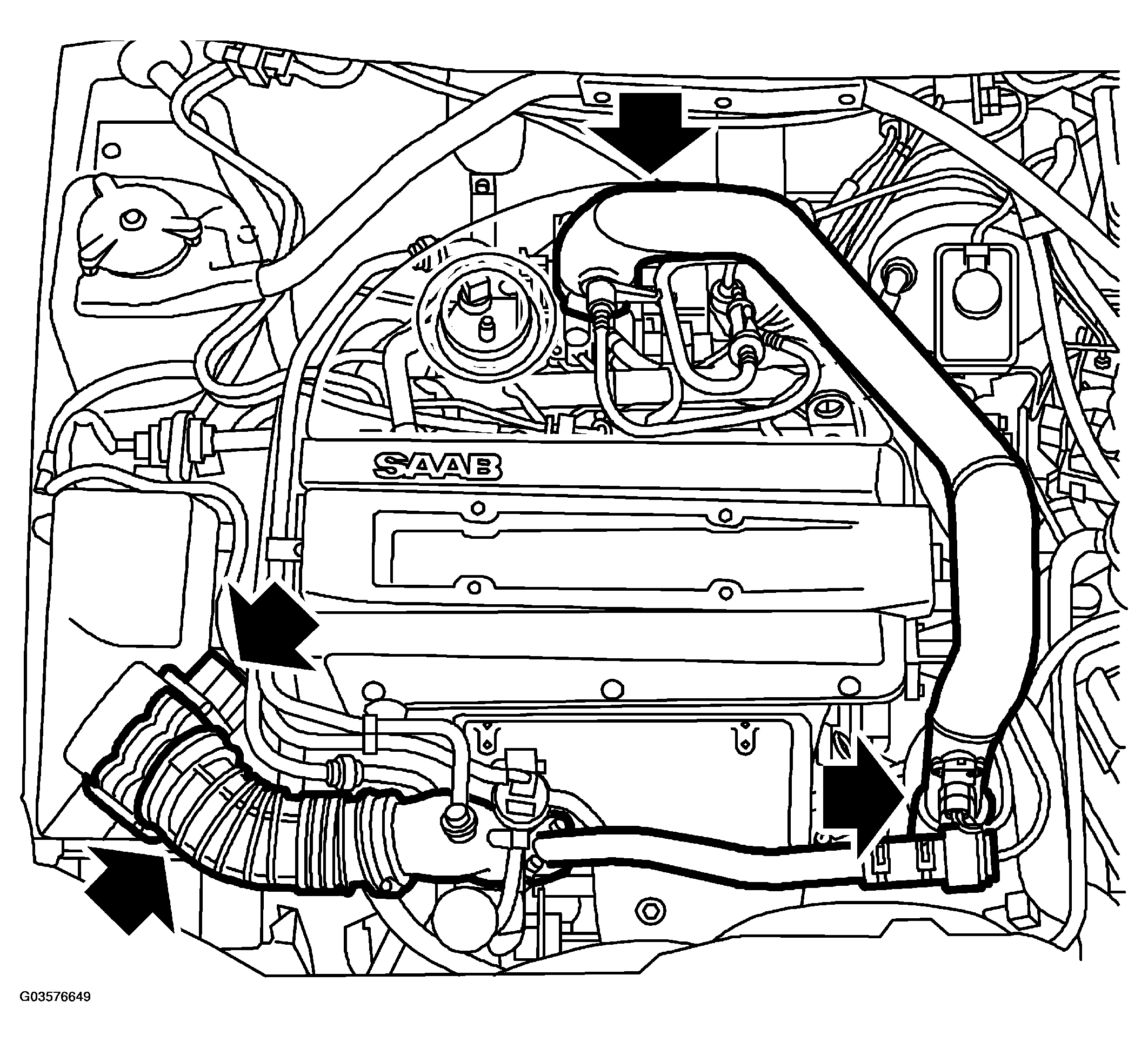 G03576649