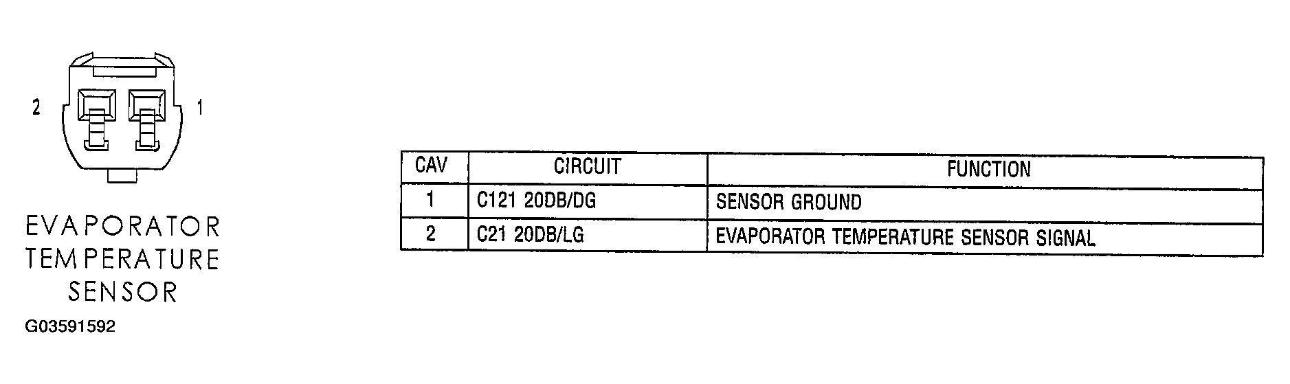 G03591592