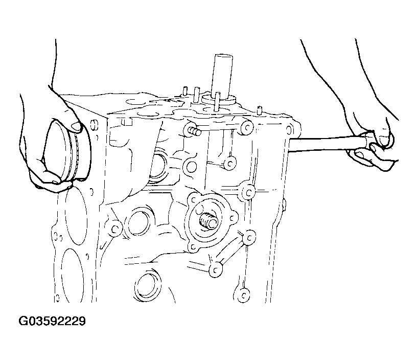 G03592229