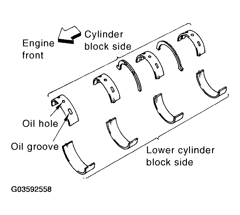 G03592558