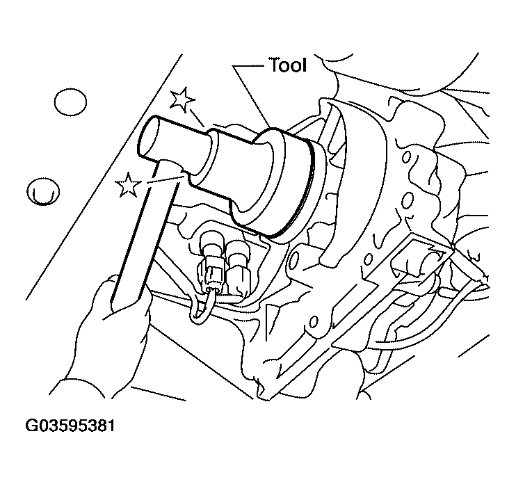 G03595381