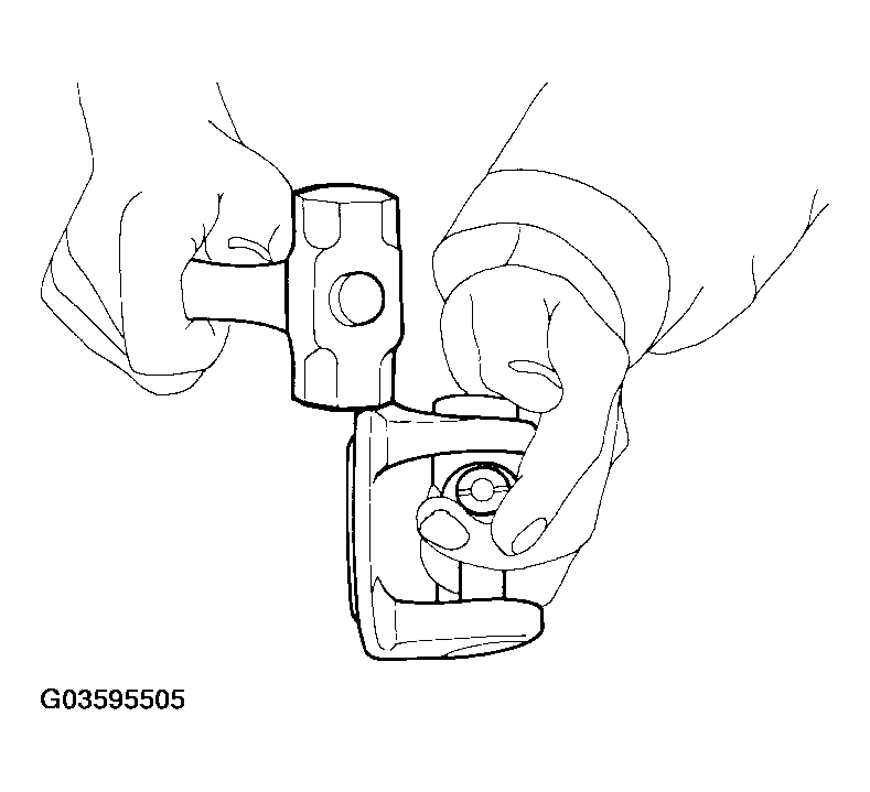 G03595505