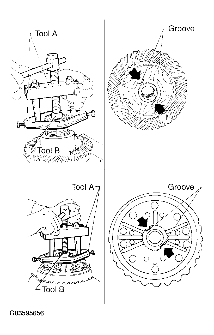 G03595656