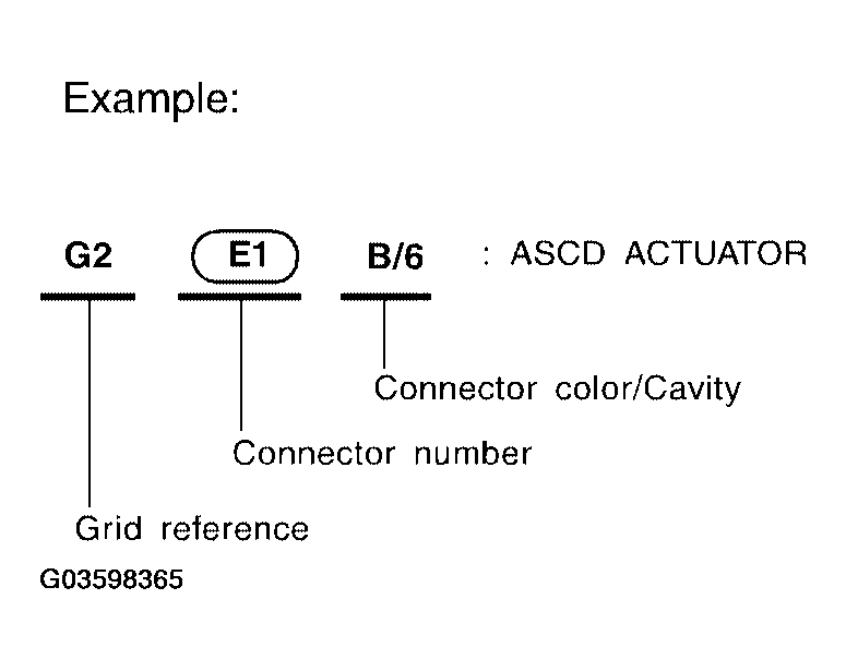 G03598365