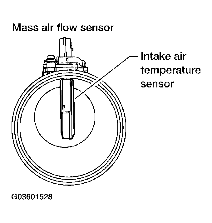 G03601528