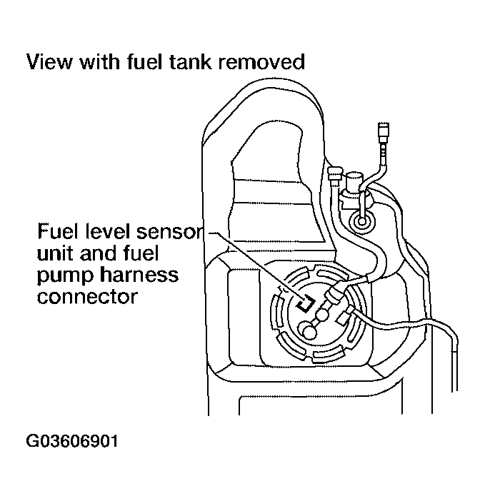 G03606901
