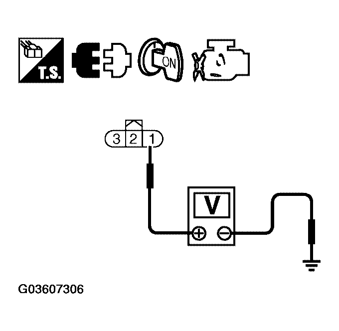 G03607306