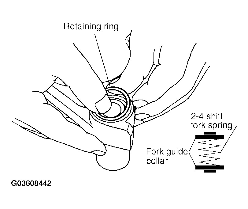 G03608442