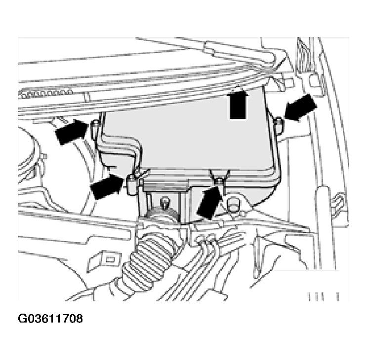 G03611708