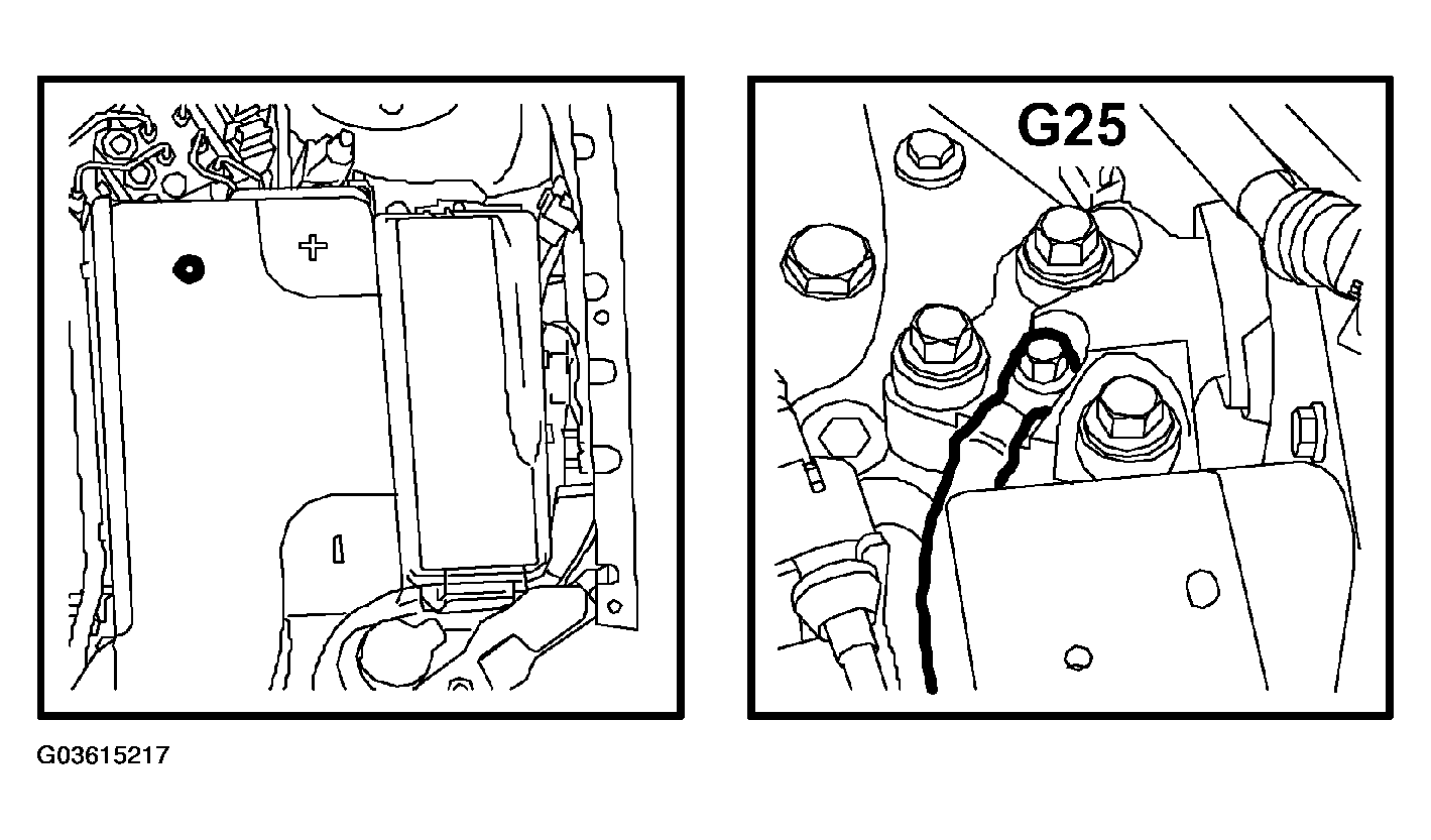 G03615217