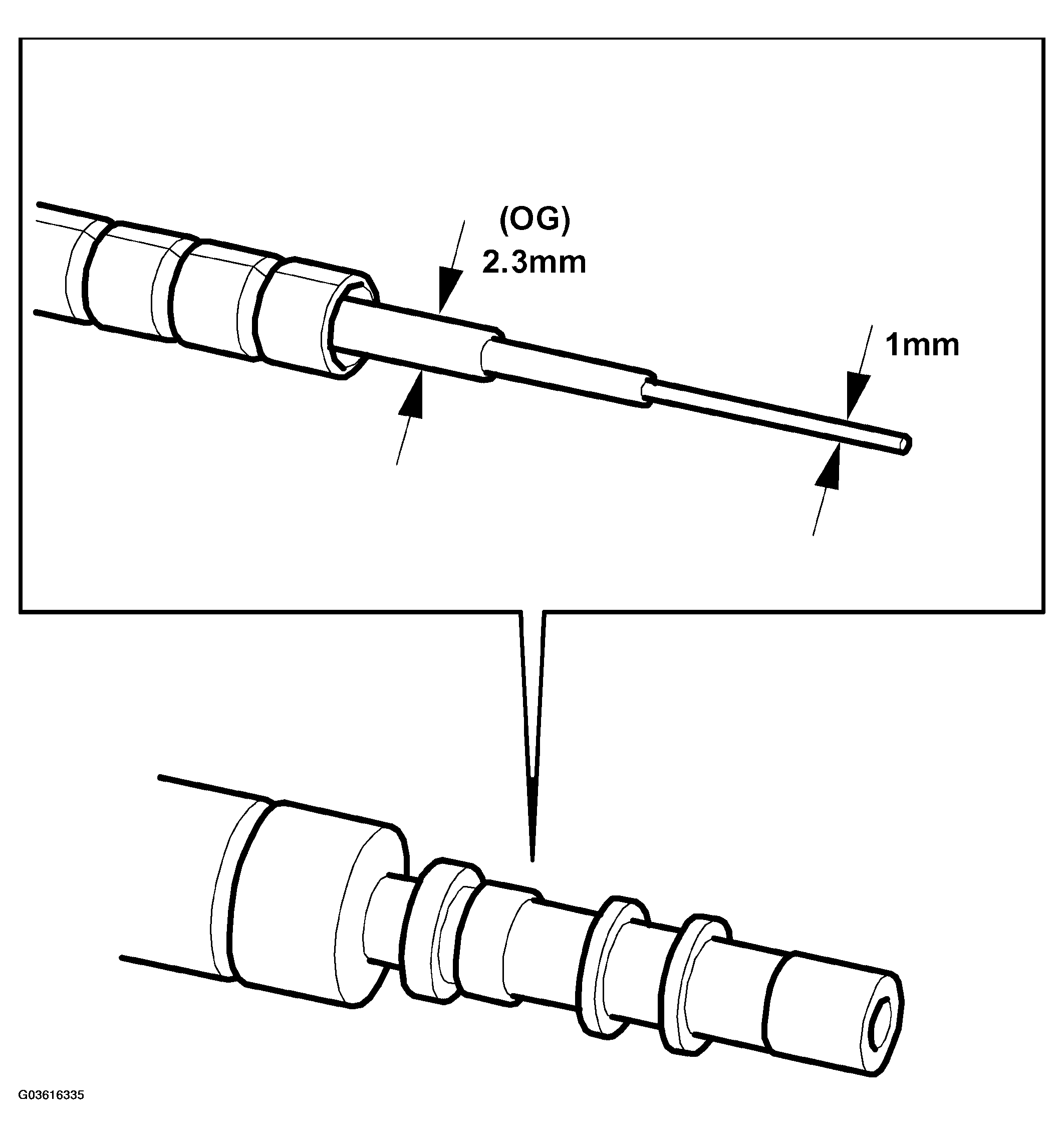 G03616335