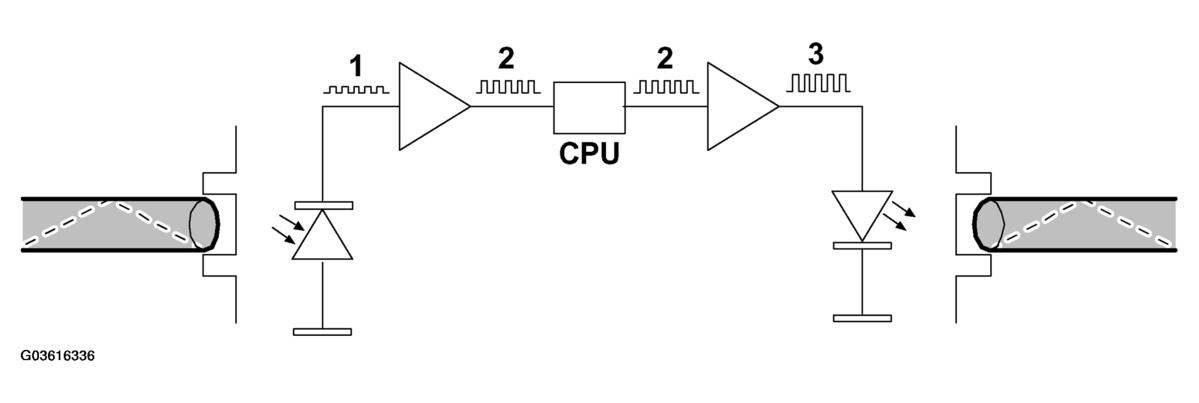 G03616336