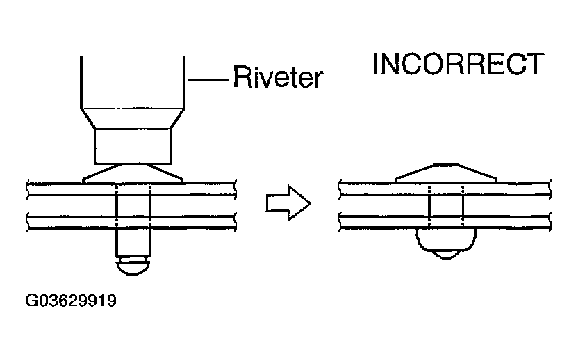 G03629919