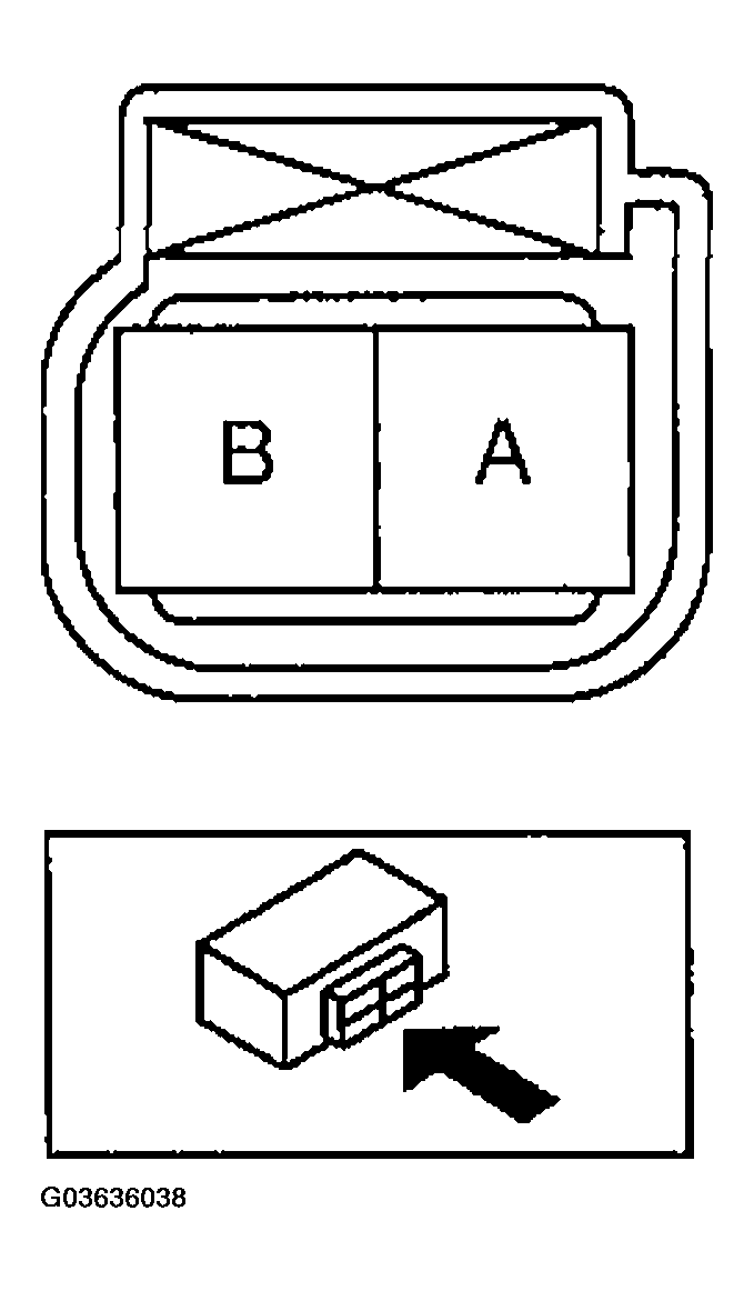 G03636038