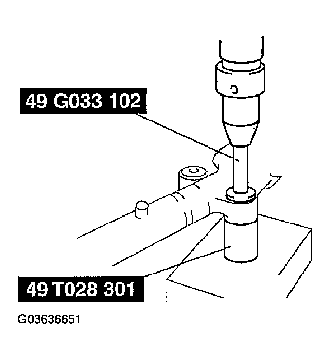 G03636651