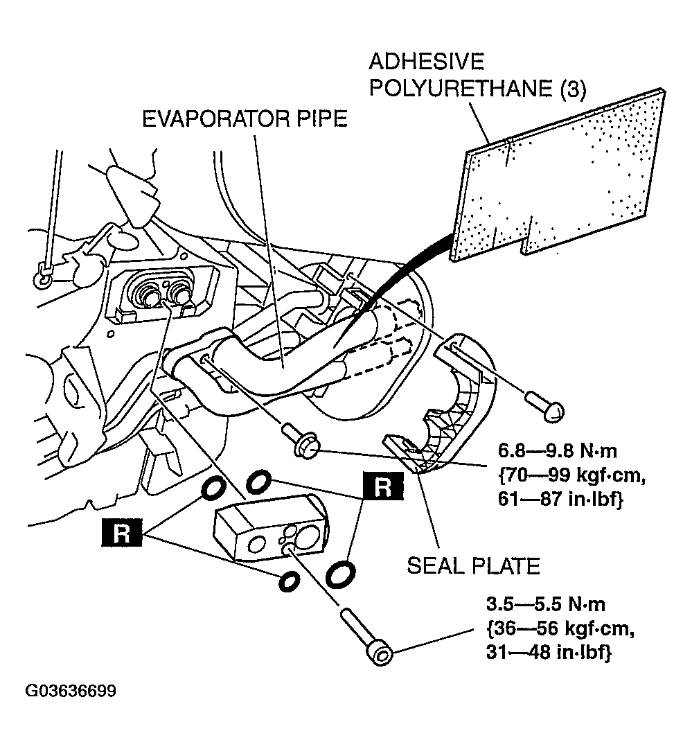G03636699