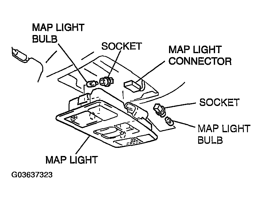 G03637323
