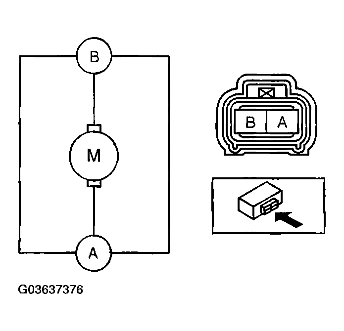G03637376