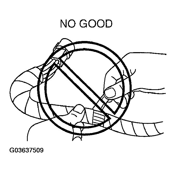 G03637509