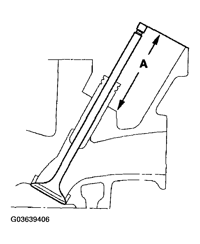 G03639406