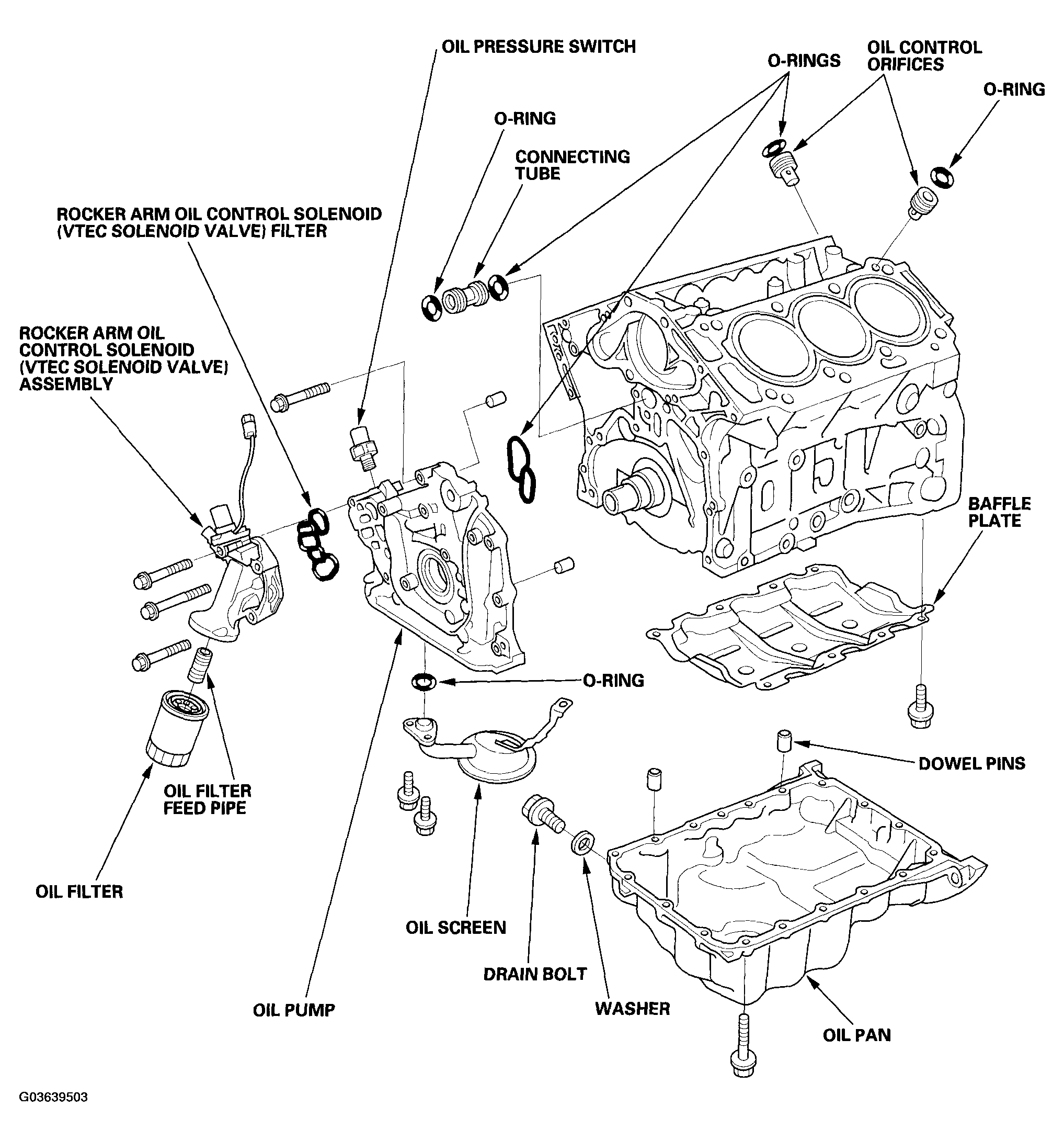 G03639503