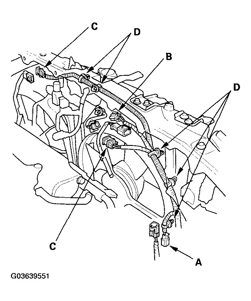 G03639551