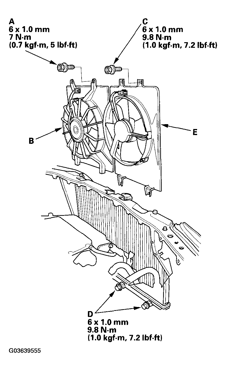 G03639555