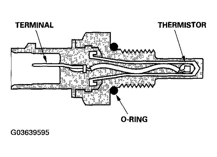 G03639595
