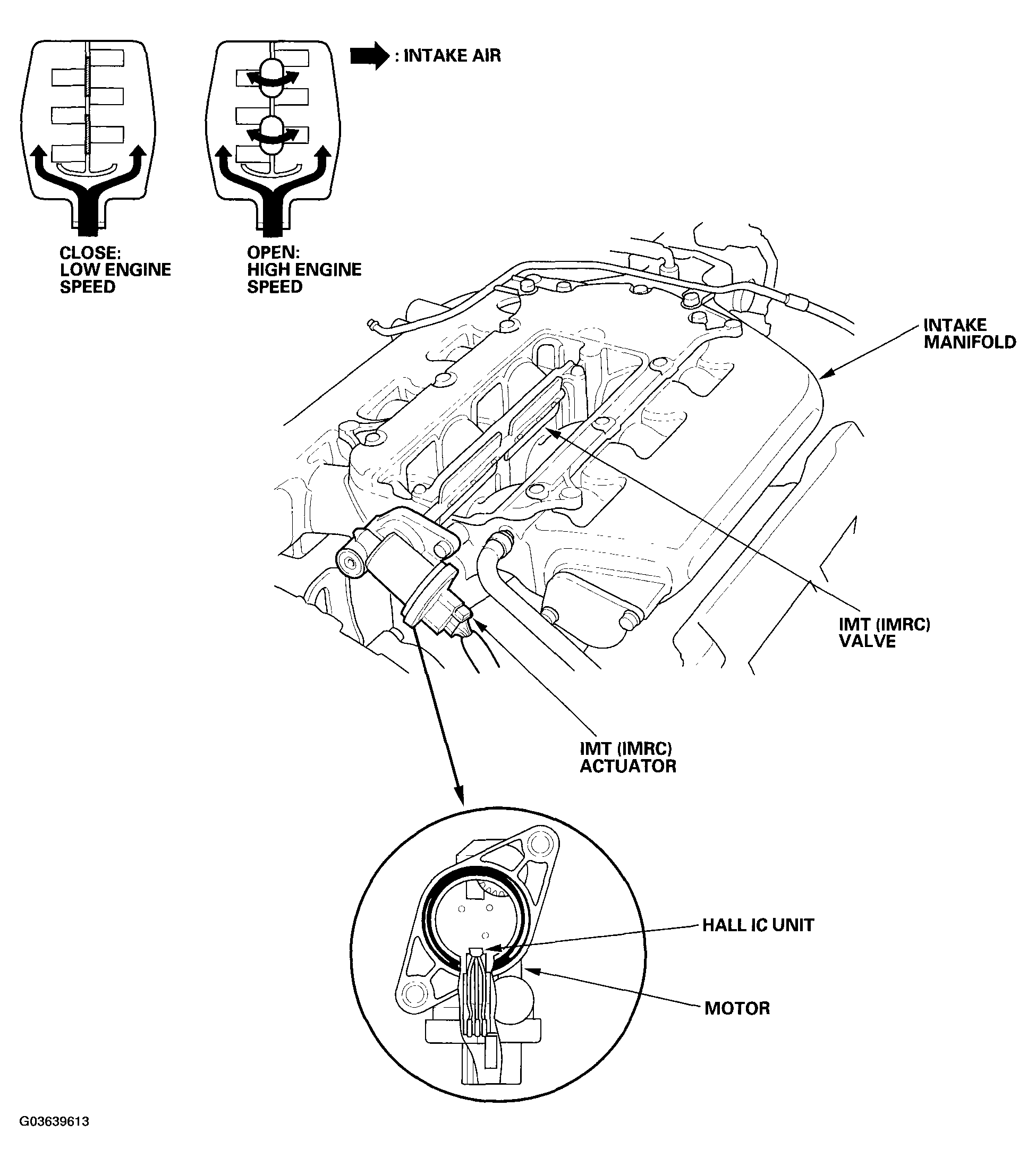 G03639613