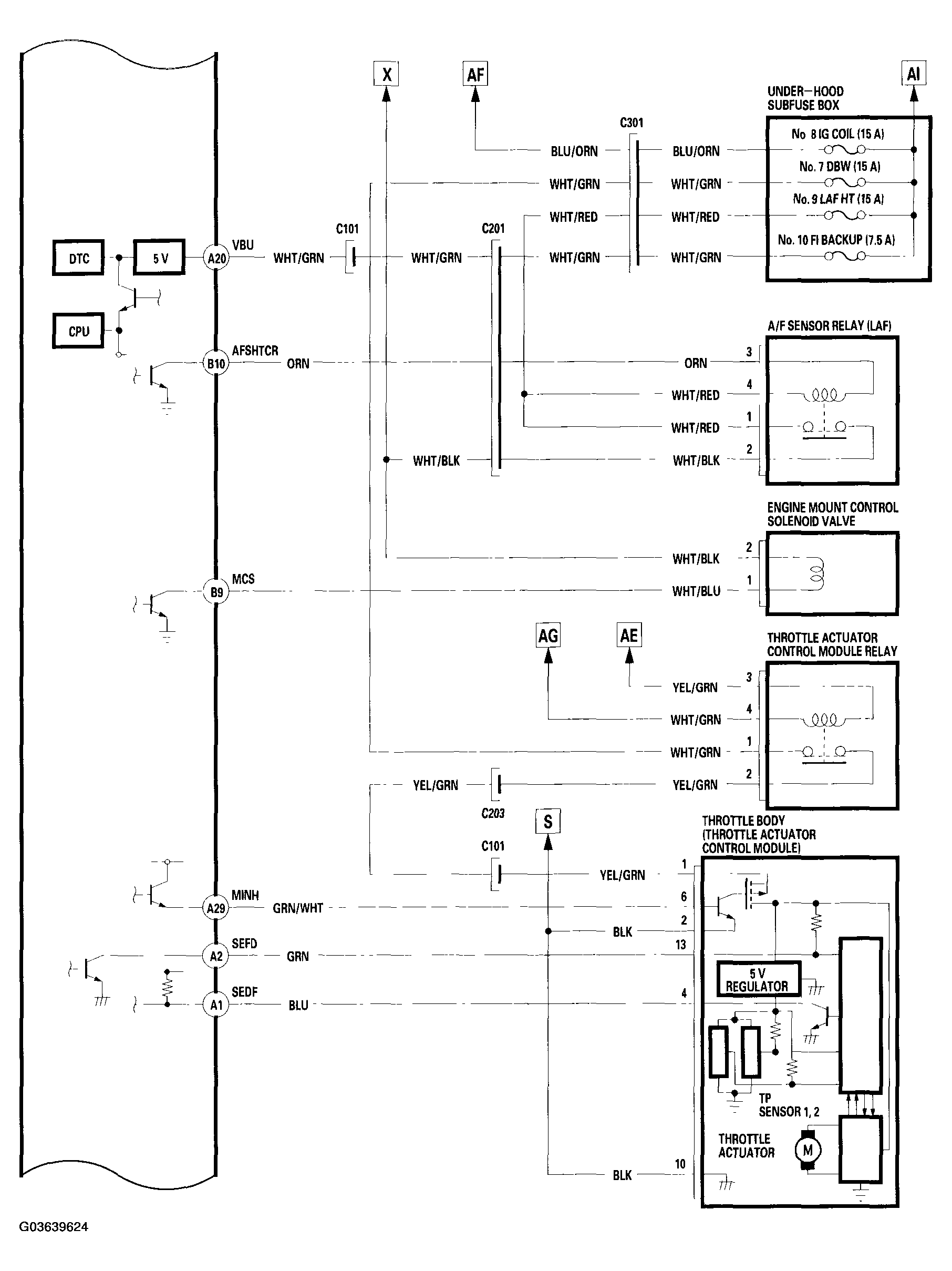 G03639624