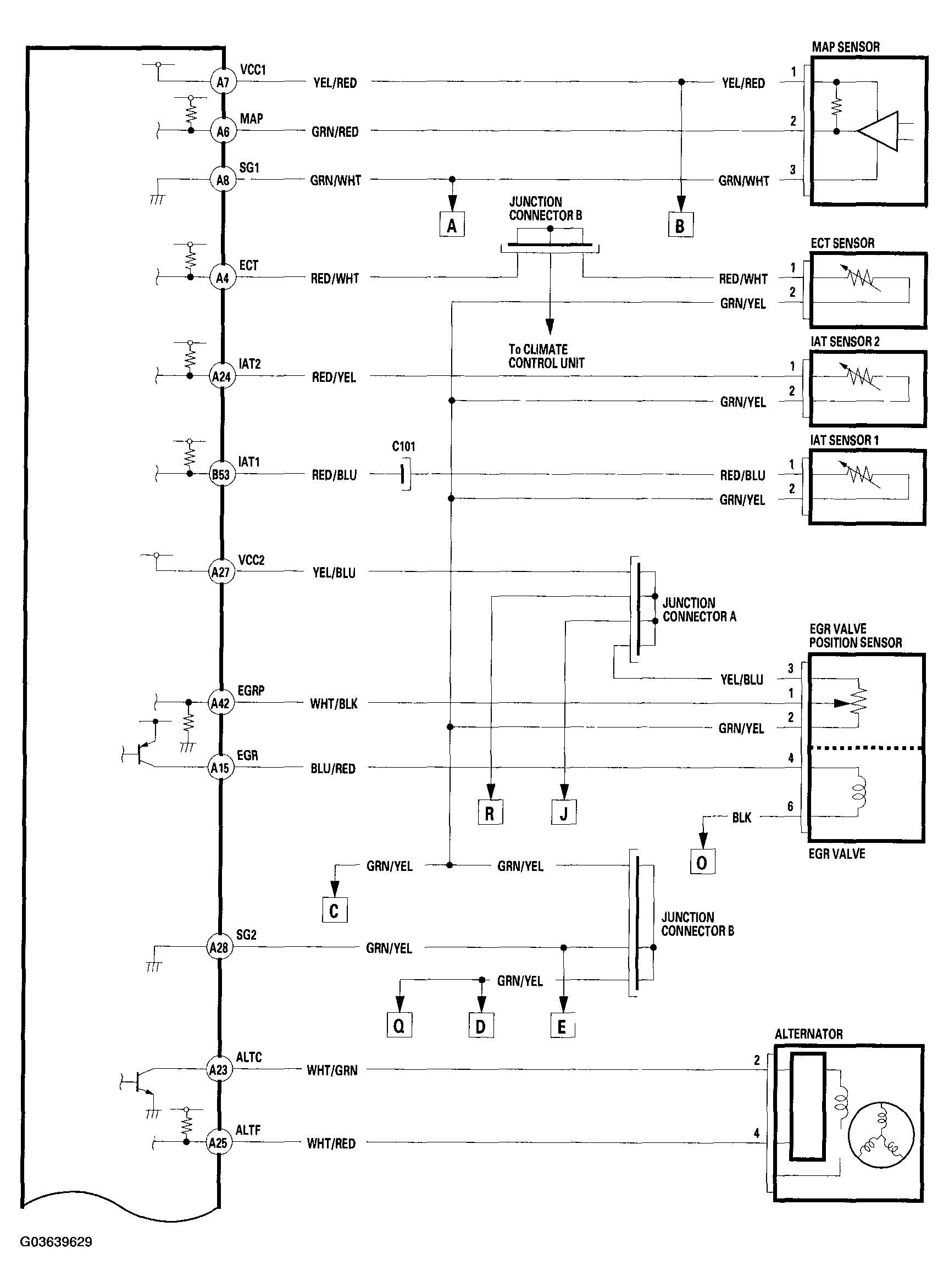 G03639629