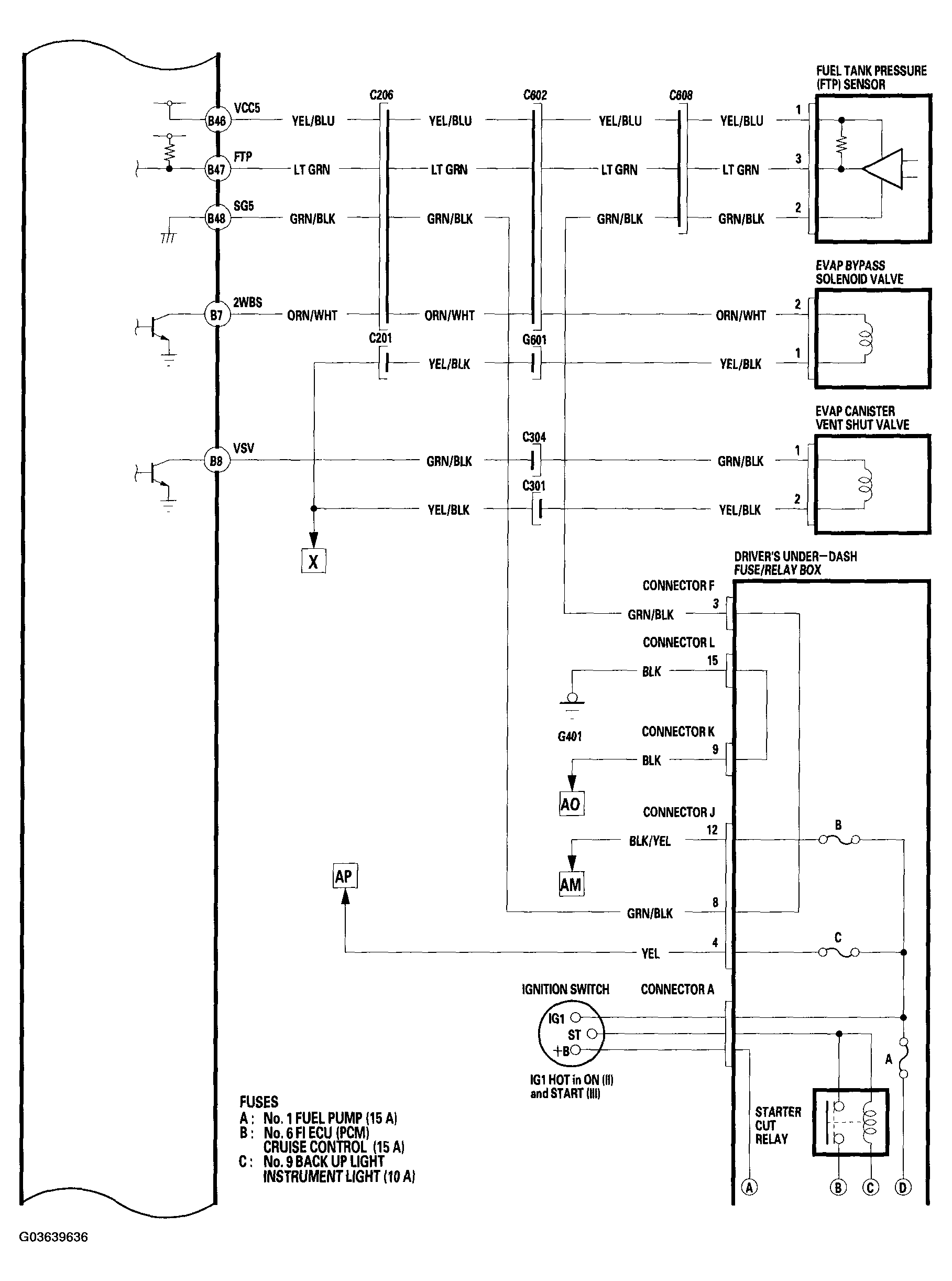 G03639636