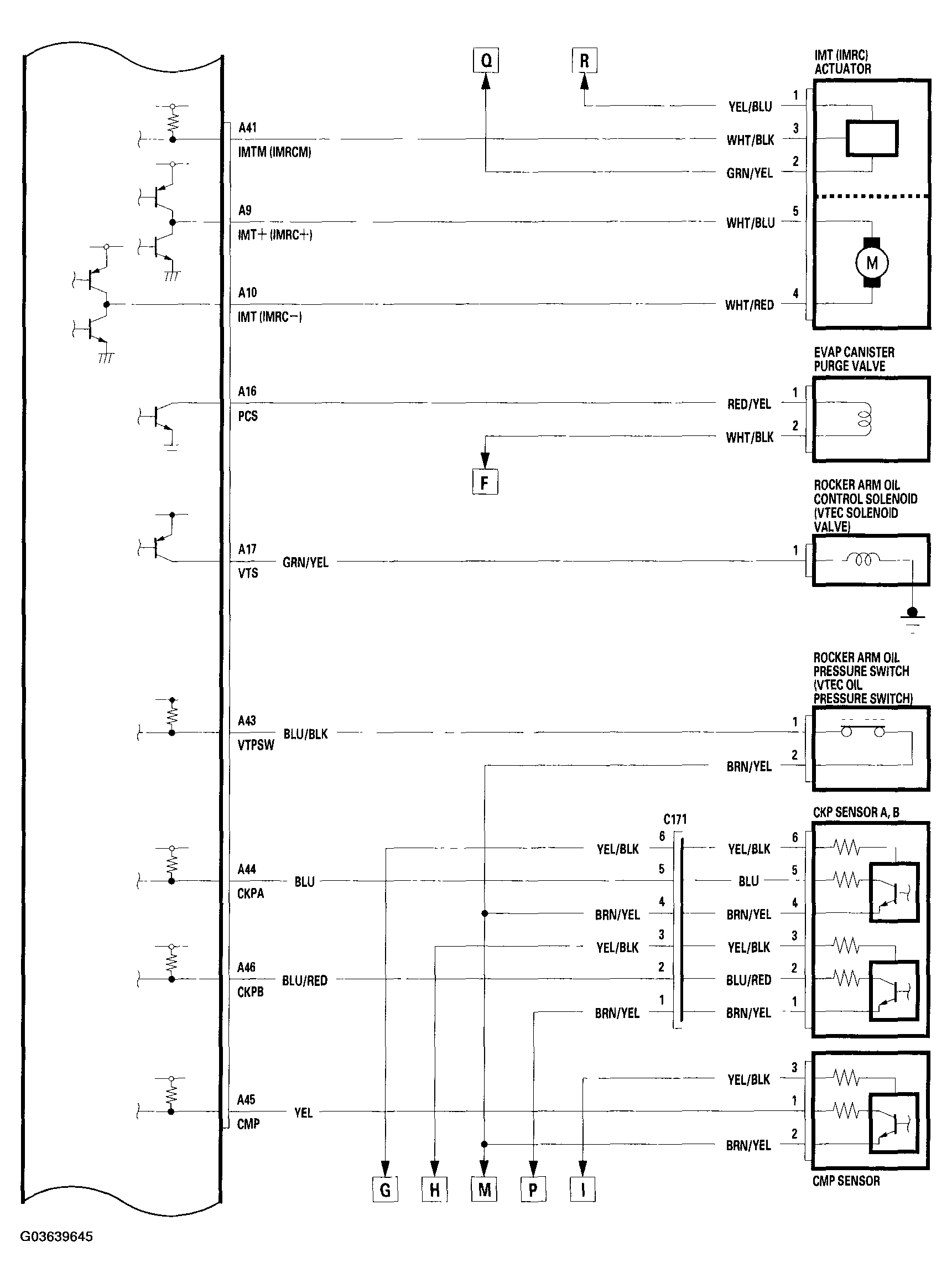 G03639645