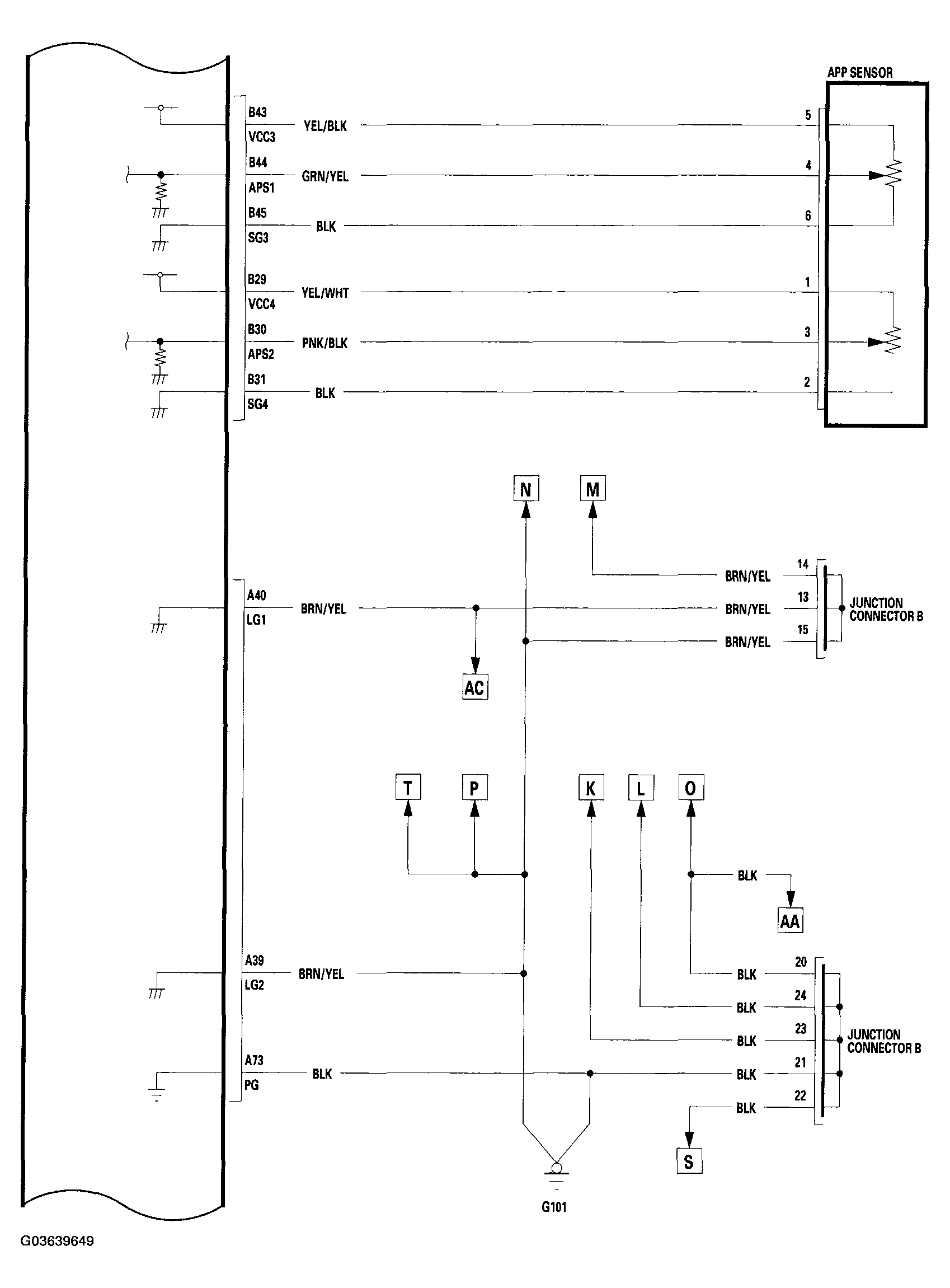 G03639649