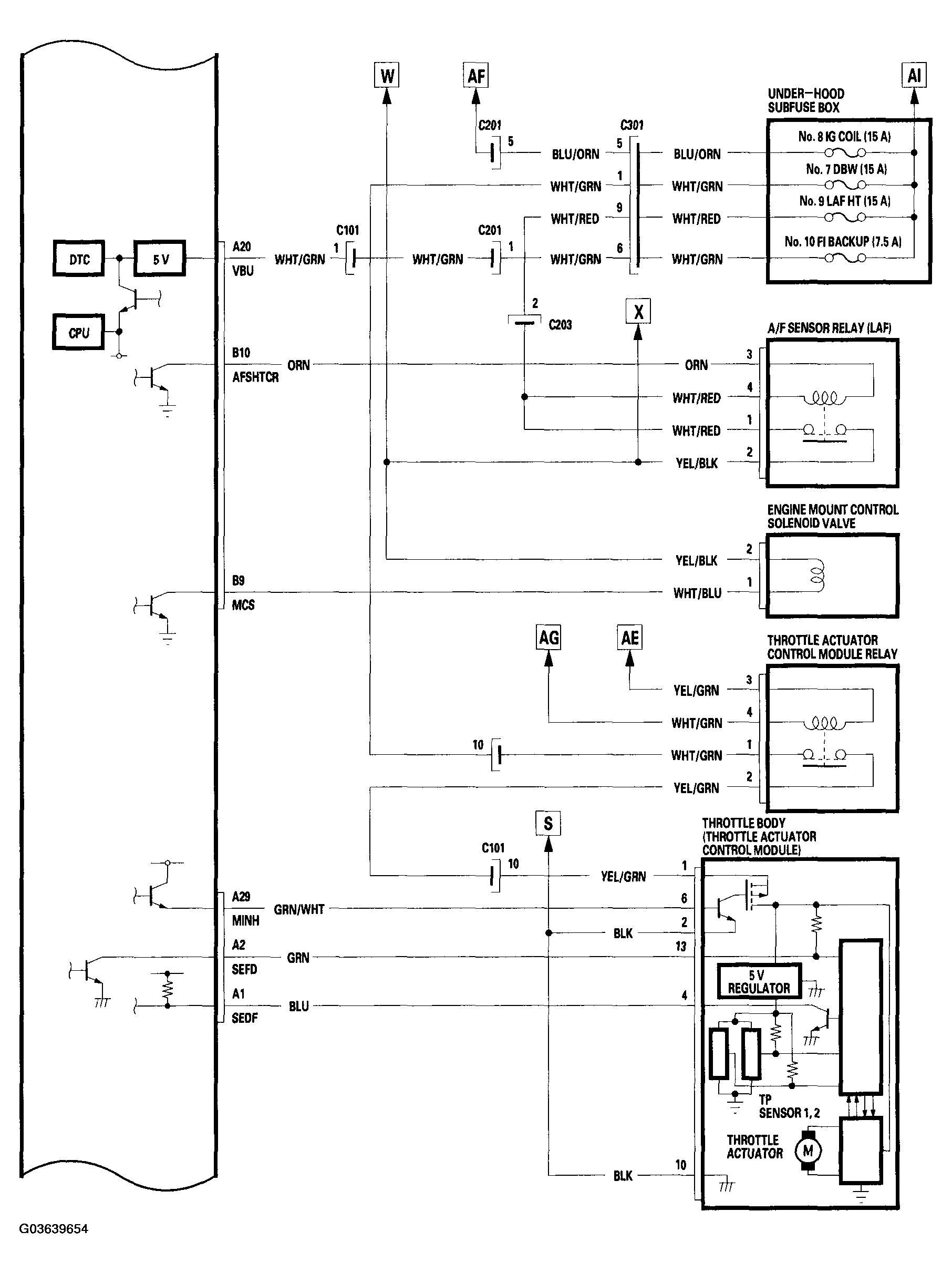 G03639654
