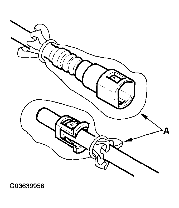 G03639958