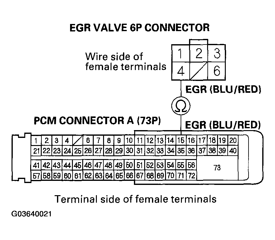 G03640021