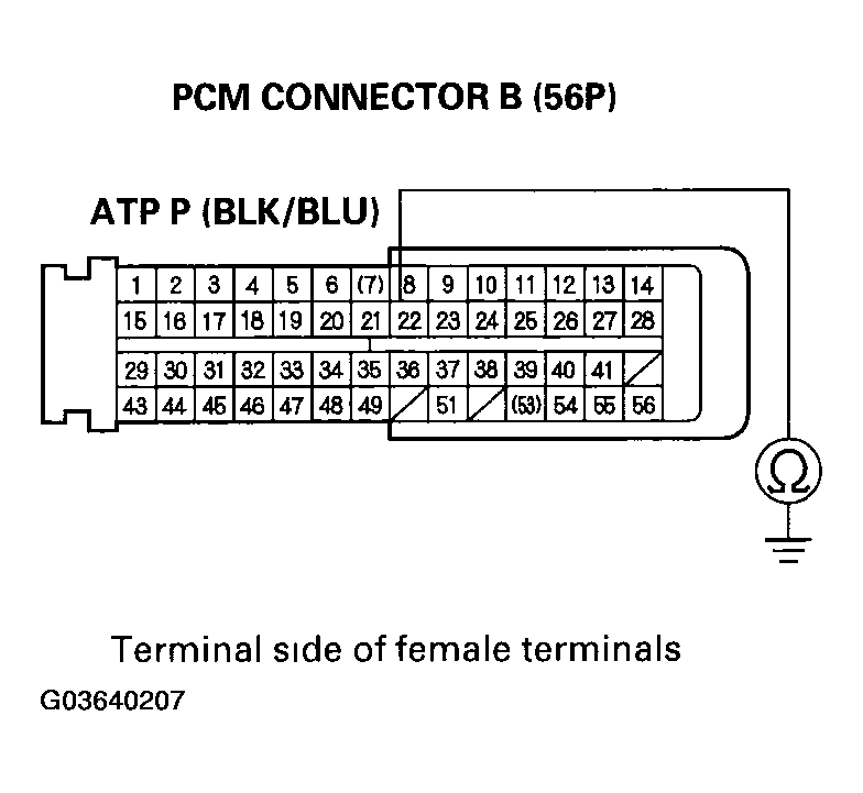 G03640207