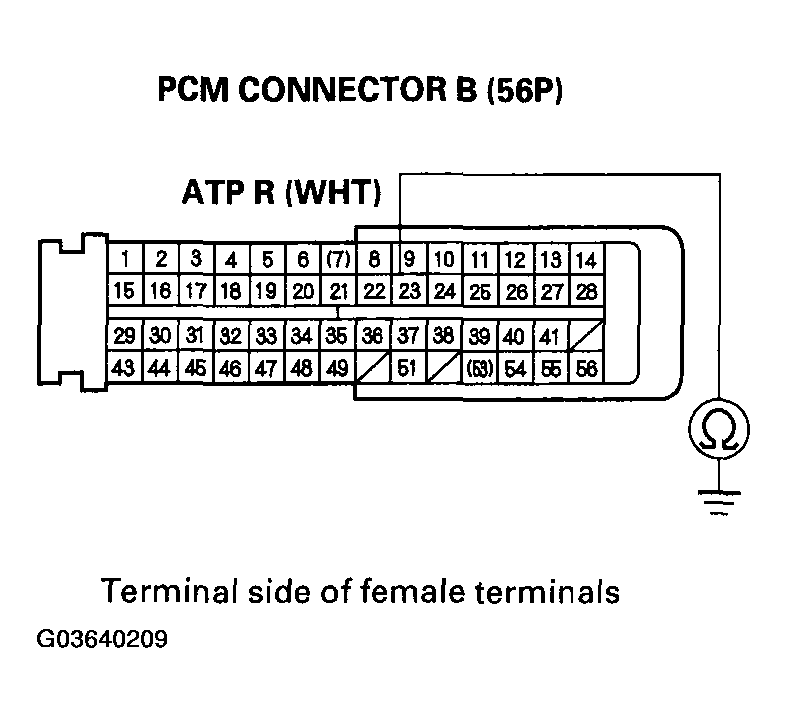 G03640209