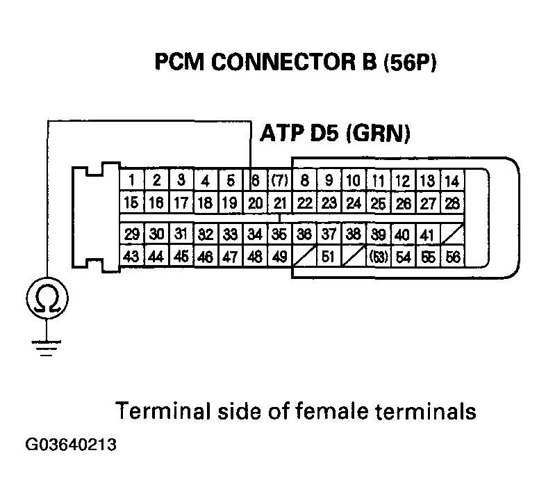 G03640213