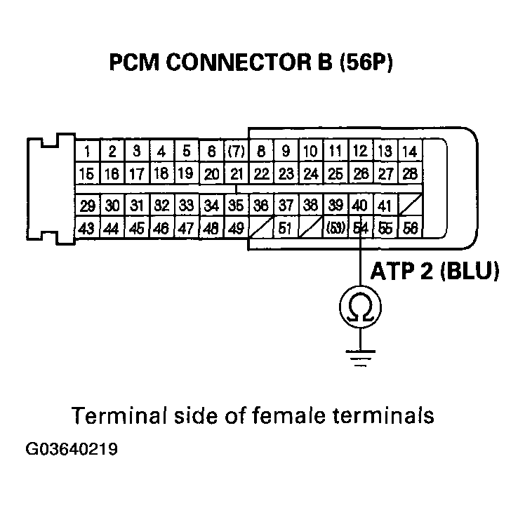 G03640219
