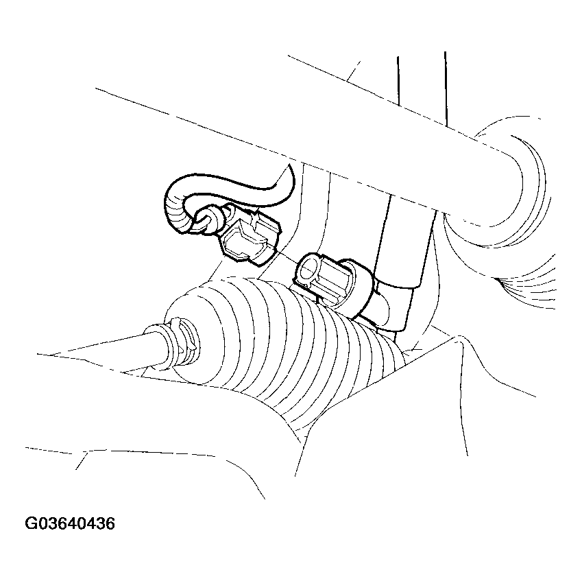 G03640436