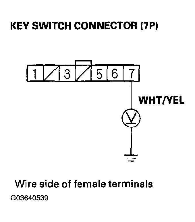 G03640539