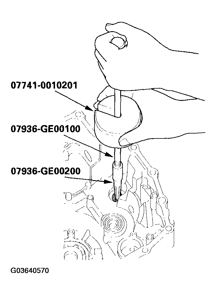 G03640570
