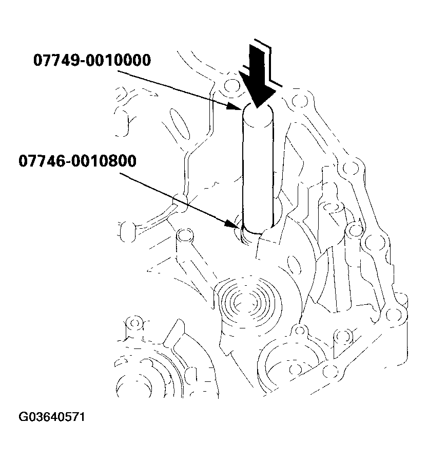 G03640571