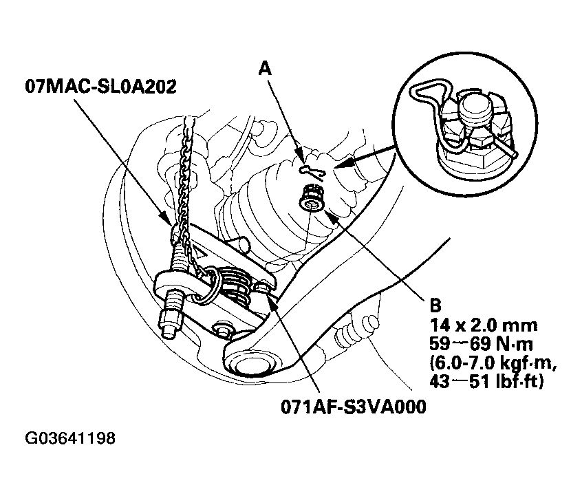 G03641198
