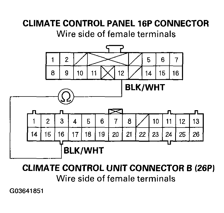 G03641851