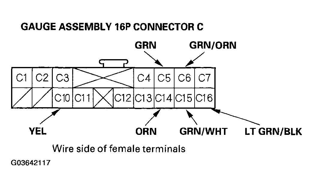 G03642117