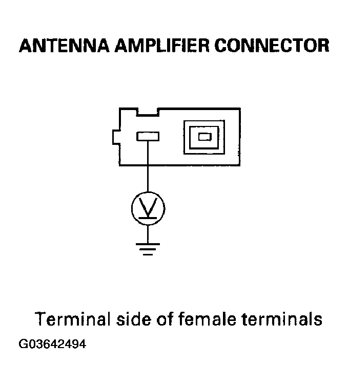 G03642494